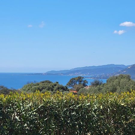 T3 Propriano Vue Mer, Neuf, Climatise Et Classe 4 Etoiles Viggianello 外观 照片