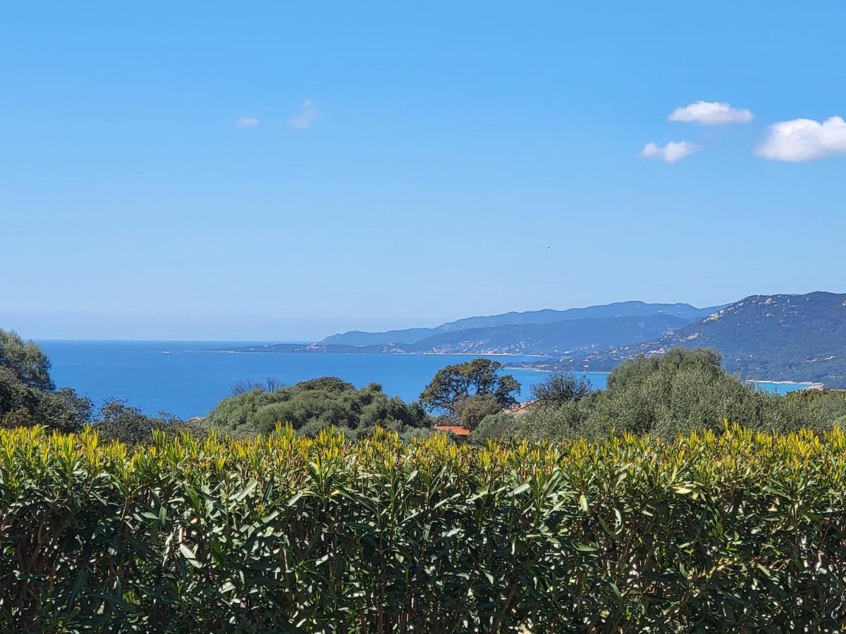 T3 Propriano Vue Mer, Neuf, Climatise Et Classe 4 Etoiles Viggianello 外观 照片