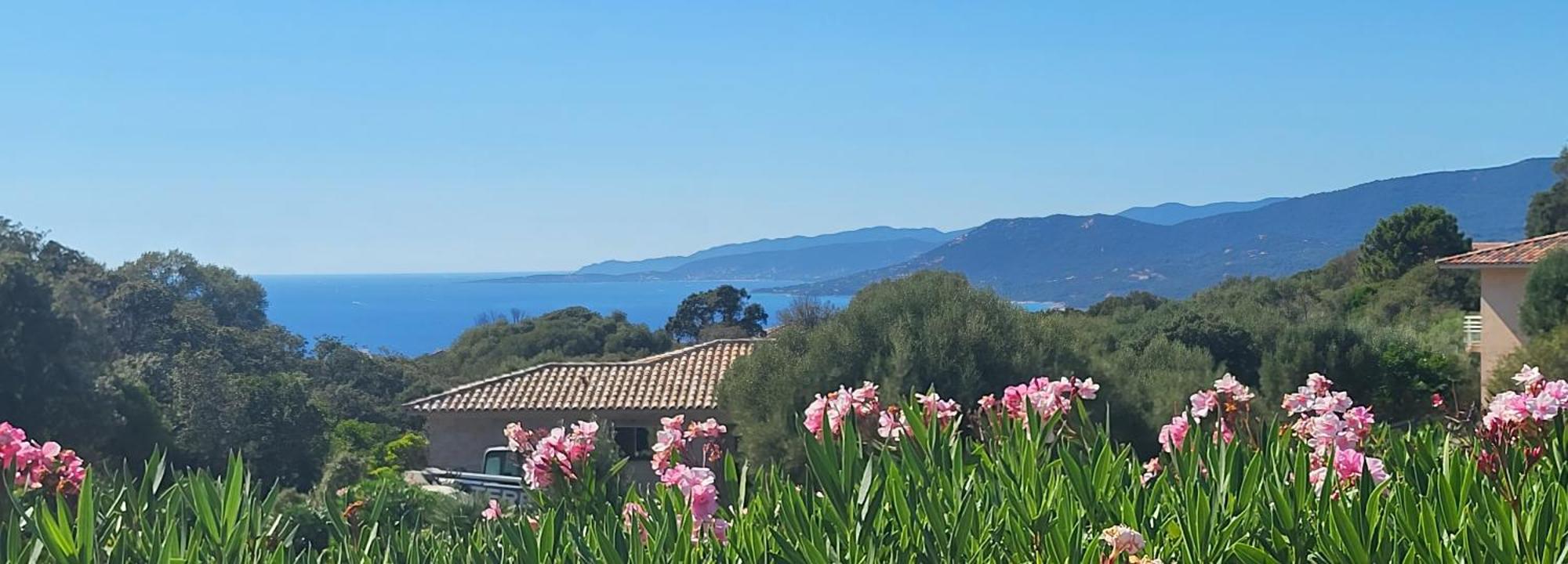 T3 Propriano Vue Mer, Neuf, Climatise Et Classe 4 Etoiles Viggianello 外观 照片